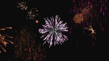 Loop animation of fireworks lights in the sky during holidays	