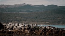 A Huge Colony Of King Cormorants On The Rocky Islands In Beagle Channel, Tierra Del Fuego, Argentina. Aerial Drone Shot	
