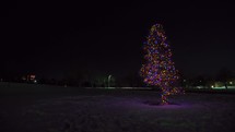 lights on a lonely Christmas tree at night 