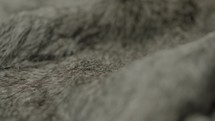 Animal and wildlife macro fur textures