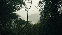 Timelapse of clouds moving over the tropical rainforest hills of and Coast Costa Rica