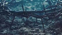 crown of thorns on ashes 