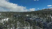 Aerial of snow and pine trees