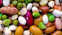 mixed beans vegetables useful as a background