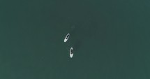 aerial view over kayakers 