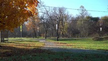 An Amish horse and buggy passing by on an Autumn day