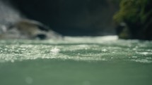 Slow Motion close up of water rushing in a tropical rainforest jungle