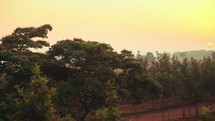 sunrise in Uganda 