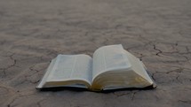 turning pages of a Bible on dry soil 