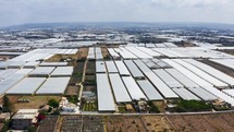 Intensive agriculture in controlled greenhouses