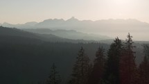 Aerial of forest, hills and mountains in sunset