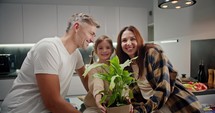 Portrait of a happy little girl with her parents holding a houseplant forward and rejoicing after her dinner in a modern apartment in the kitchen in the evening