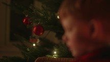 Child Reading the Bible by the Christmas Tree