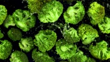 Broccoli with water drops. Filmed is slow motion 1000 fps