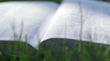 an open Bible in the grass