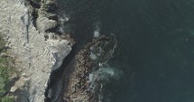 Kayakers in the ocean