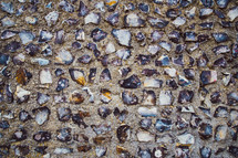 mosaic shells in concrete wall 