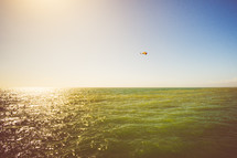 pelican flying over the ocean 