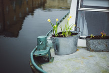 daffodils on a house boat 