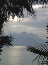 island view through palms 
