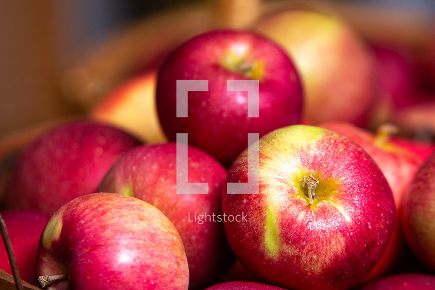 red apples in a basket 