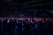 crowd at a concert 