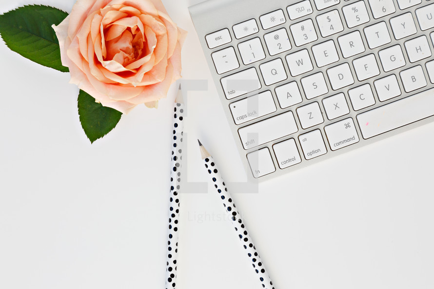computer keyboard, pencils, and peach roses on a desk 