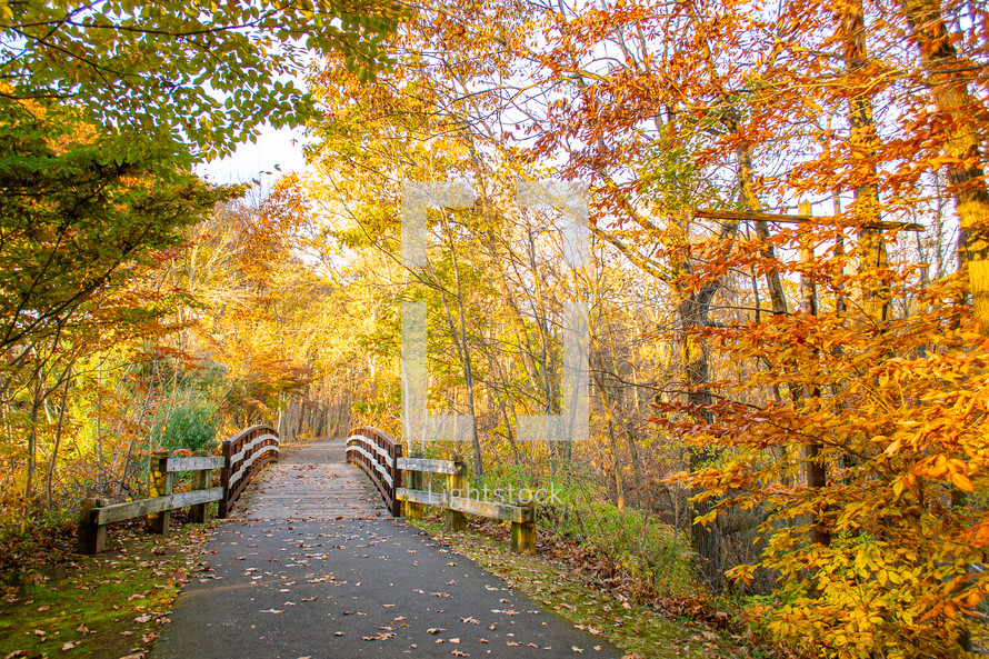 path and bridge through a fall forest 
