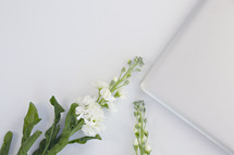 white flowers and laptop computer 