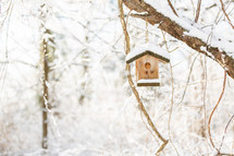 Bird house hanging from tree branch in winter