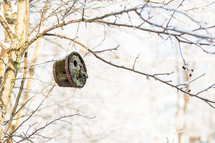 Barrel-shaped birdhouse hanging from snowy tree in winter