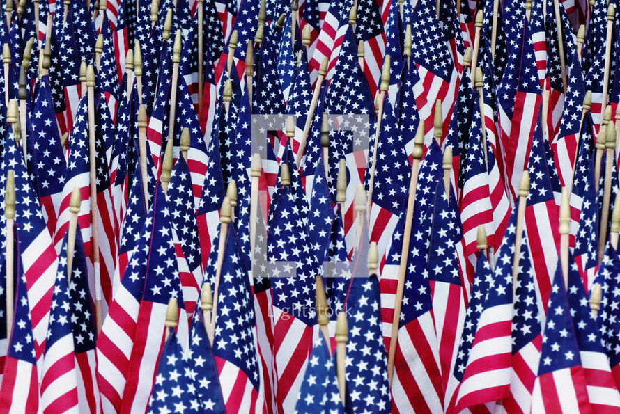 Memorial day American flag display, fallen but not forgotten