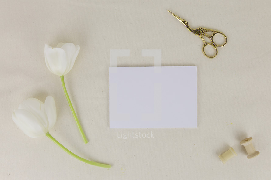 paper, spool, blank paper, and  white tulips on a white background 