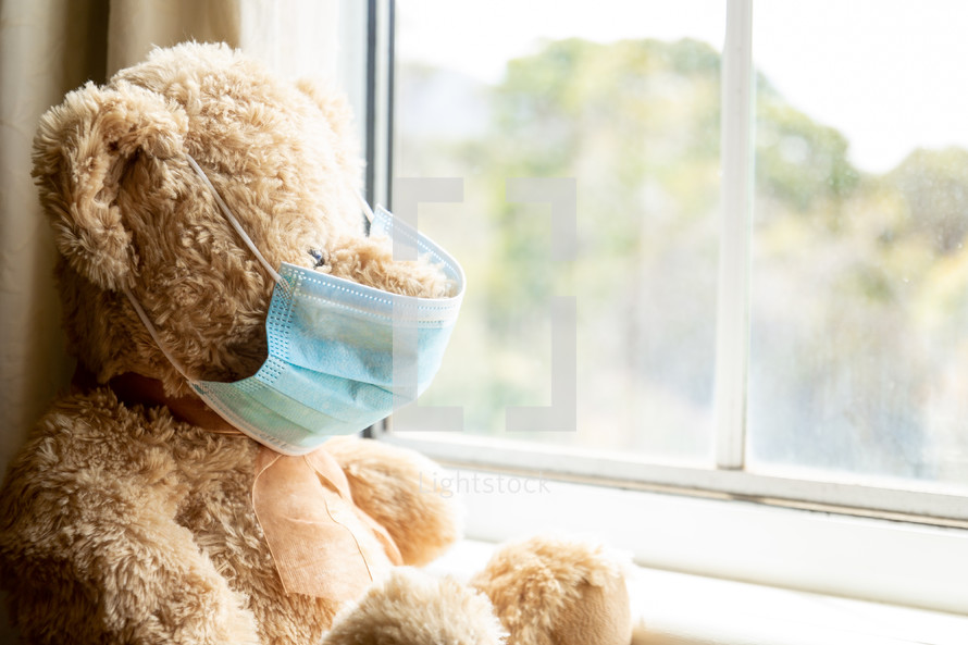 teddy bear wearing a face mask looking out a window 