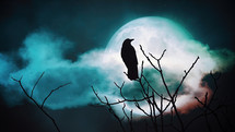 Crow silhouette at midnight with clouds
