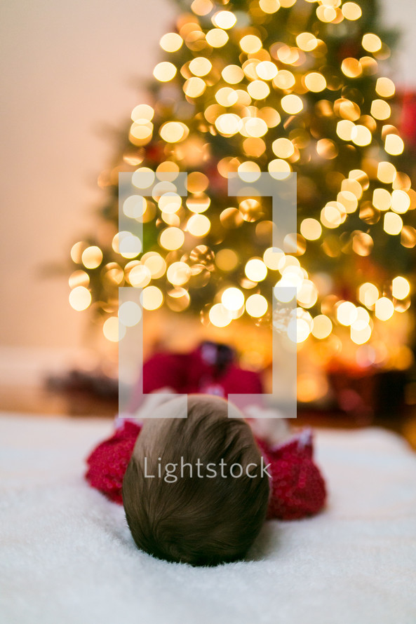 boy lying under a Christmas tree 