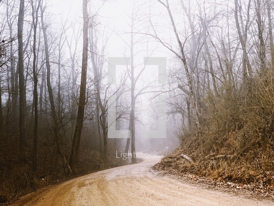 dirt road through a foggy forest 