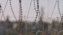 Border fence between Israel and West Bank. barbed wire electronic fence.