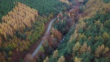 Aerial Tracking Laneway and River in Cloghleah Wood, County Wicklow with Autumn Colour, Ireland