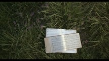 hymnal in the grass
