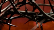 thorns on a crown of thorns 