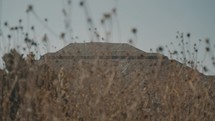 Pyramid Of The Sun Behind Growing Golden Wild Plants In Teotihuacan, Mexico. Selective Focus Shot	