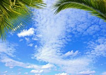 Blue sky speckled with clouds surrounded by palm leaves.