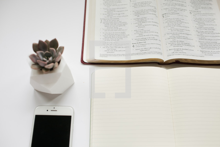 open Bible, blank pages of a Bible, iPhone, and succulent plant 