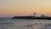 Waterscape with wavy sea, quay and flying seagulls at sunset