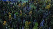Aerial view of the hilly landscape with forests and meadows, pastures in autumn, Carpathian nature