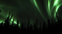 Green Northern Lights in starry sky