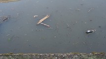 Pollution in a water canal with floating litter