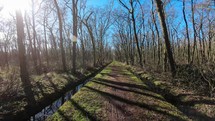 Moving through a narrow path in the forest - colorful hyperlapse