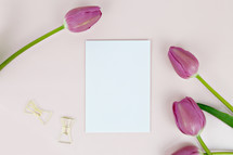 paperclips, white paper, and tulips on a pink background 